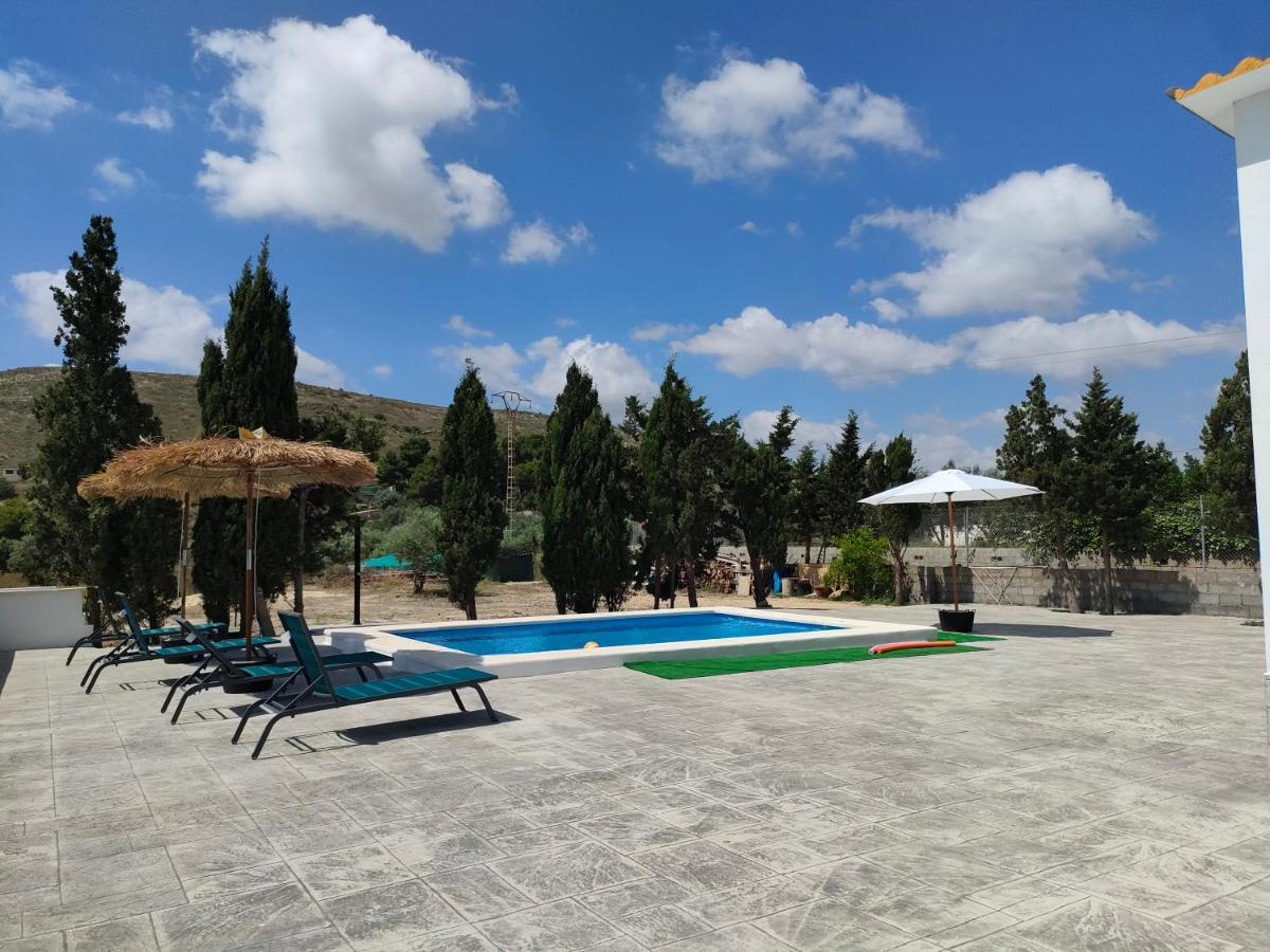 Casa Rural Con Piscina Climatizada Y Barbacoa A 10 Km De Alicante Y Playas, 3000 M2 De Terreno Elche Bagian luar foto