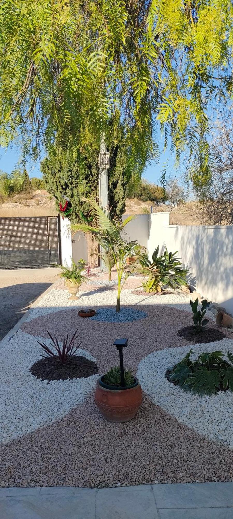 Casa Rural Con Piscina Climatizada Y Barbacoa A 10 Km De Alicante Y Playas, 3000 M2 De Terreno Elche Bagian luar foto