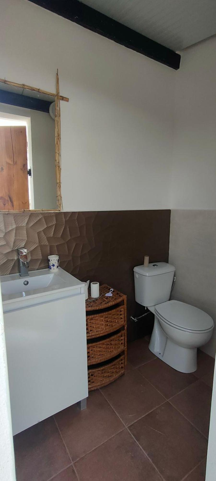 Casa Rural Con Piscina Climatizada Y Barbacoa A 10 Km De Alicante Y Playas, 3000 M2 De Terreno Elche Bagian luar foto